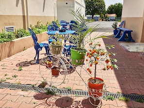 Hotel acceptant les chiens