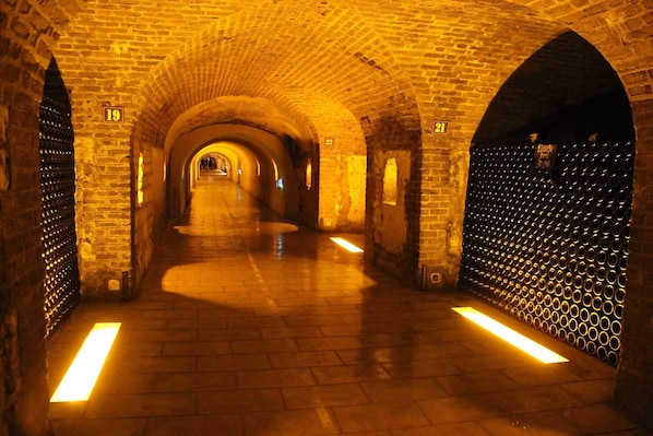 Hôtel de Champagne accepte les chiens à Epernay