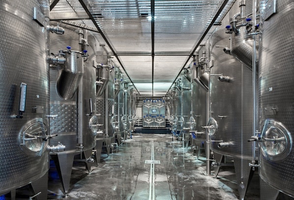 Coquillade Provence accepte les chiens à Gargas