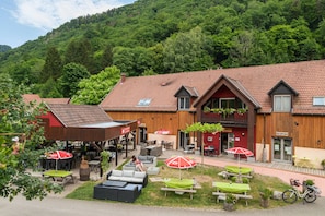 Hotel acceptant les chiens