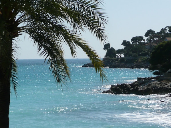 Hotel Victoria accepte les chiens à Roquebrune-Cap-Martin