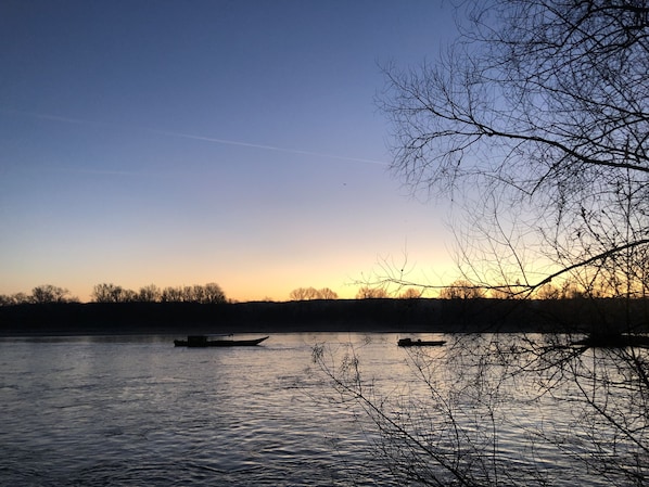 Hôtel de la Loire accepte les chiens à Saint-Satur