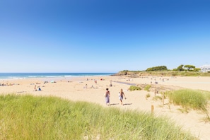 Hotel acceptant les chiens