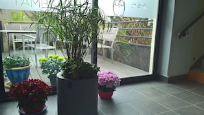 Hotel acceptant les chiens