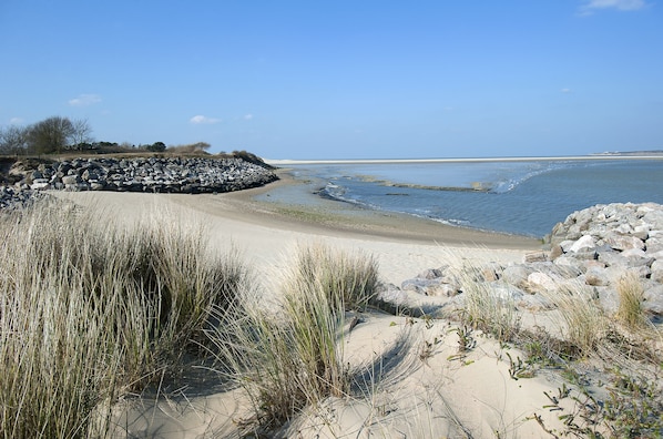 Le Grand Hôtel Le Touquet accepte les chiens à Le Touquet-Paris-Plage