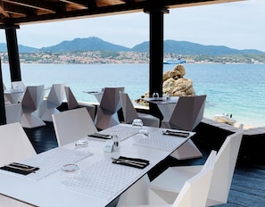 Hotel acceptant les chiens