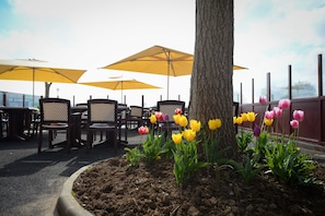 Hotel acceptant les chiens