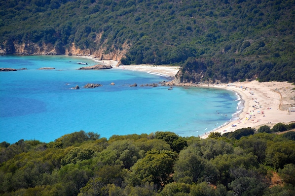 Résidence Alba Rossa accepte les chiens à Serra-di-Ferro