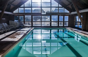 Hotel acceptant les chiens