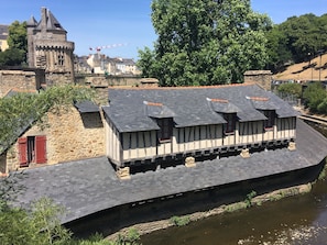 Hotel acceptant les chiens