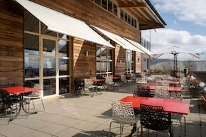 Hotel acceptant les chiens