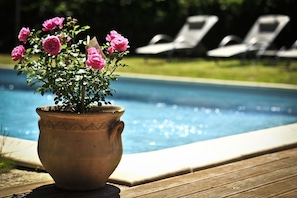 Hotel acceptant les chiens