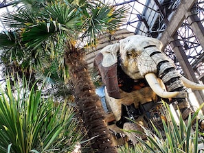 Hotel acceptant les chiens