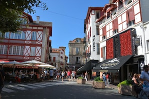 Hotel acceptant les chiens