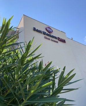 Hotel acceptant les chiens