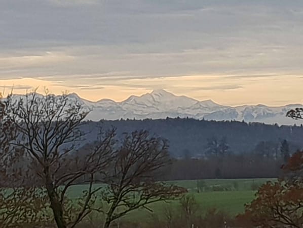 Hotel du Val accepte les chiens à Val-de-Ruz