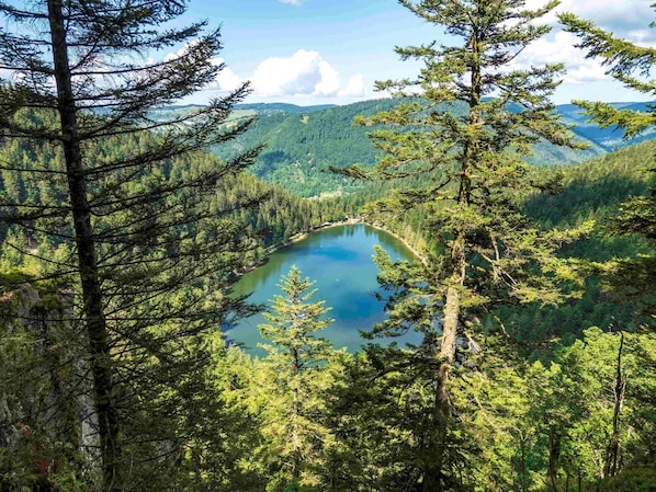 ibis La Bresse Gerardmer accepte les chiens à La Bresse