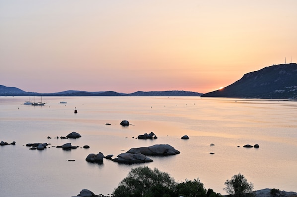 Hôtel Costa Salina accepte les chiens à Porto-Vecchio