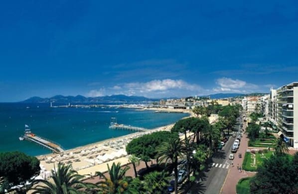 Novotel Suites Cannes Centre accepte les chiens à Cannes
