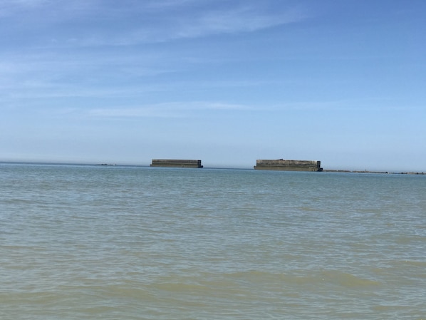 B&B gîte de Saint COME de Fresne accepte les chiens à Saint-Come-de-Fresne