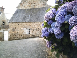 Hotel acceptant les chiens