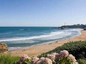 Hotel acceptant les chiens