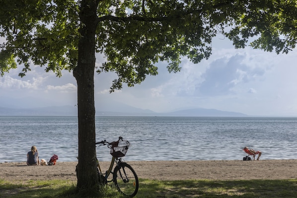 Lausanne Youth Hostel Jeunotel accepte les chiens à Lausanne