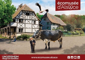 Hotel acceptant les chiens