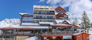 Hotel acceptant les chiens