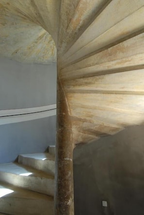 Hotel acceptant les chiens