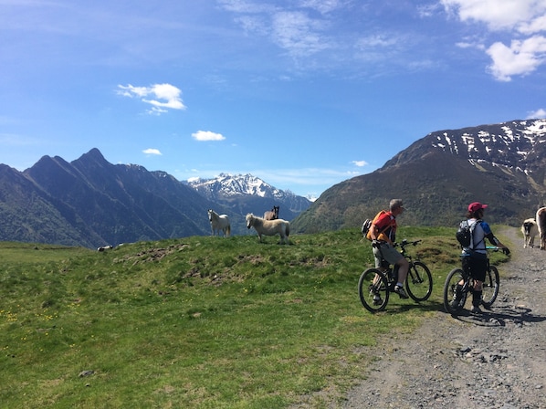 Hotel Restaurant Les Edelweiss accepte les chiens à Cauterets