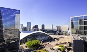 Hotel acceptant les chiens