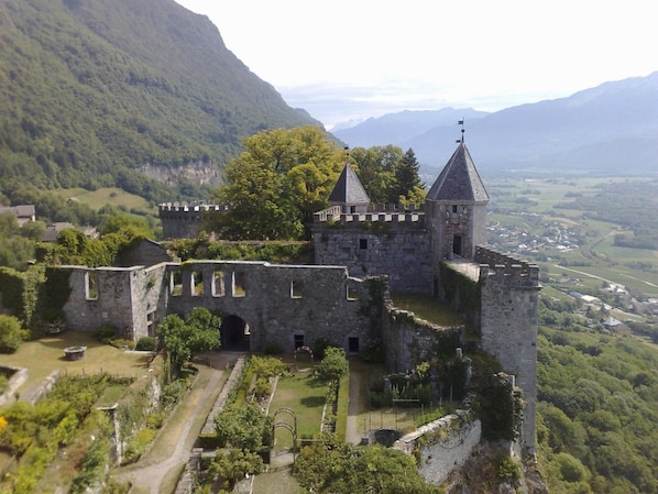 La Maison De Savoie accepte les chiens à Saint-Pierre-d'Albigny