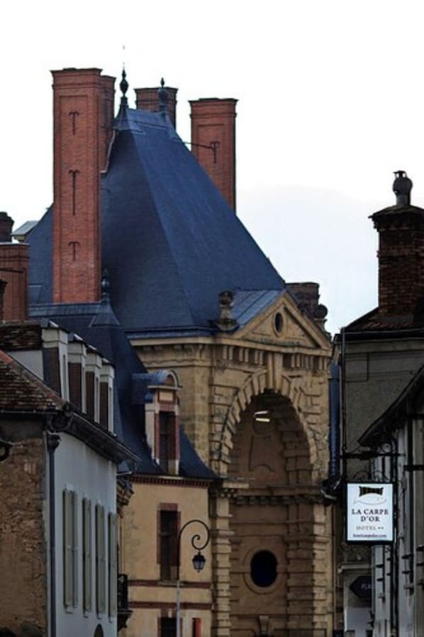 Hotel La Carpe D'or accepte les chiens à Fontainebleau