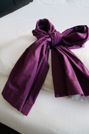 Hotel acceptant les chiens