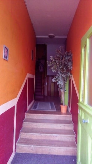 Hotel acceptant les chiens