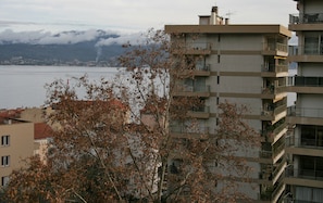 Hotel acceptant les chiens