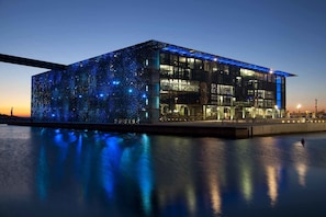 Hotel acceptant les chiens