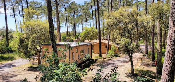 Green Resort accepte les chiens à Ondres