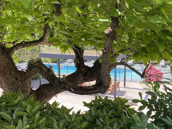 Château & Spa de la Commanderie accepte les chiens à Eybens