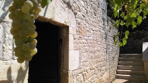 Hotel acceptant les chiens