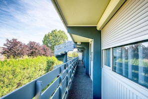 Hotel acceptant les chiens