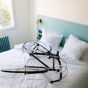 Hotel acceptant les chiens