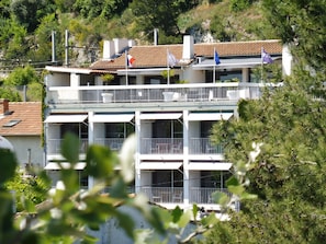 Hotel acceptant les chiens