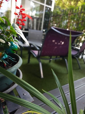 Hotel acceptant les chiens