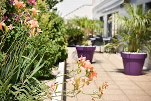 Hotel acceptant les chiens