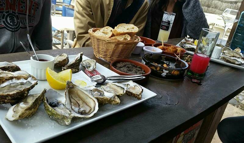 A Noste Mimizan Plage accepte les chiens à Mimizan