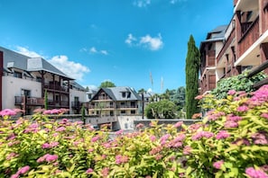 Hotel acceptant les chiens