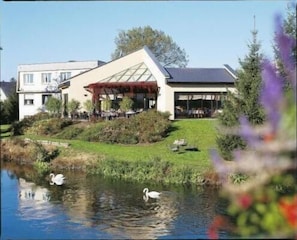 Hotel acceptant les chiens