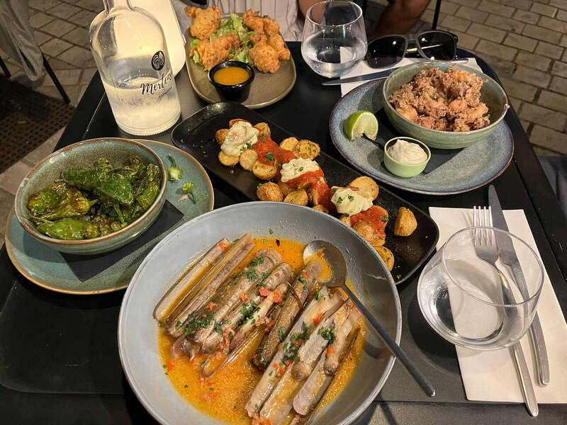 Mertensia Ostrateka accepte les chiens à La Rochelle